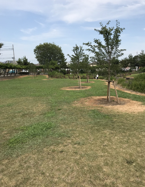 公園