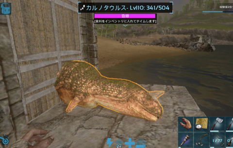 カルノ~レックス2