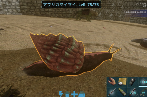 カタツムリ4