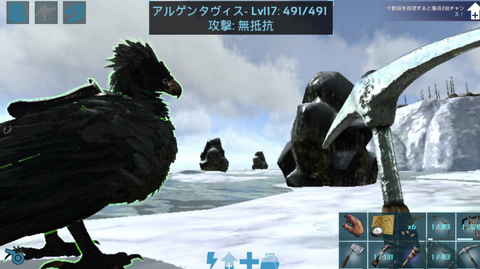 いろいろ採る3