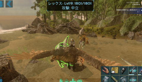引っ越し10