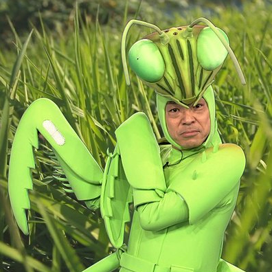 昆虫