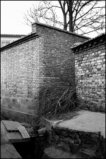 beijing20091129_03