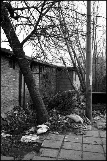 beijing20091129_04