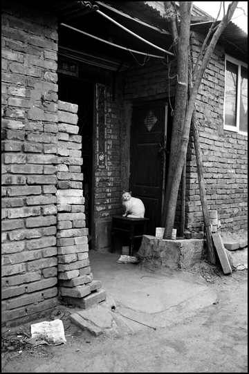 beijing20091129_01