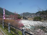 P1100857