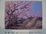 形態撮影 2363