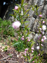 P1080673