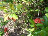 P1080667