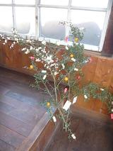 P1090874