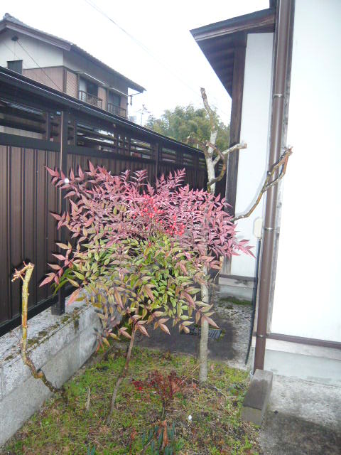 P1110444