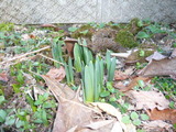 P1100721