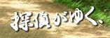 õ�夬�椯���Хʡ�