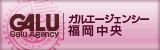 ���륨�������󥷡�ʡ�����