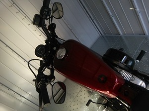 Harley02
