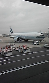 956b40f1.jpg