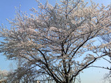 bd2f009b.jpg