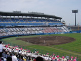 SANY0509
