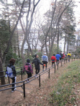 SS3-12-1