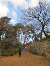SS3-15-1