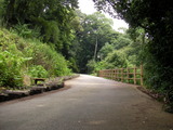SANY0494