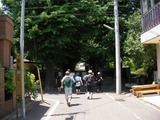 SANY4623-1