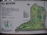 SANY0540