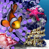 502cbbc6.jpg
