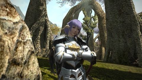 【FF14】タンクにもっとアーマー系の装備増やして欲しい