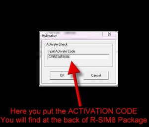 3 R-SIM-8