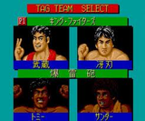 ファイヤープロレスリング コンビネーションタッグ ヒューマン PCエンジン PCE版 ファイプロ