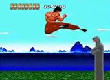 THE功夫 PCエンジン ハドソン ファミコン FC版 ザ功夫