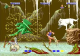 獣王記 メガドライブ セガ MD版