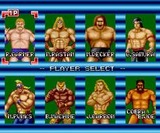 チャンピオンレスラー タイトー PCエンジン PCE版