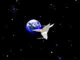 スタークルーザー メサイヤ メガドライブ MD版