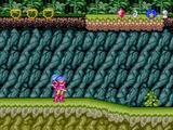 フォーセットアムール ナグザット PCエンジン PCE版