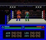 マニアックプロレス 明日への闘い ハドソン PCエンジン PCE版