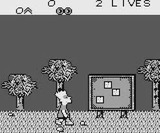 バートのサバイバルキャンプ アクレイムジャパン ゲームボーイ GB版