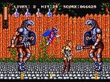 ソードオブソダン セガ メガドライブ MD版