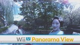 今日の町ゆく人力車
