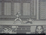 幽☆遊☆白書 トミー ゲームボーイ GB版 幽遊白書