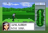 ダイナミックカントリークラブ セガ メガドライブ MD版