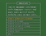 F1サーカスMD 日本物産 メガドライブ MD版