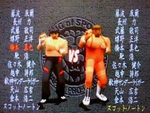 新日本プロレスリング 闘魂烈伝