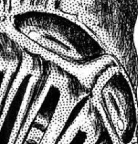 SnapCrab_NoName_2019-2-28_0-45-49_No-00