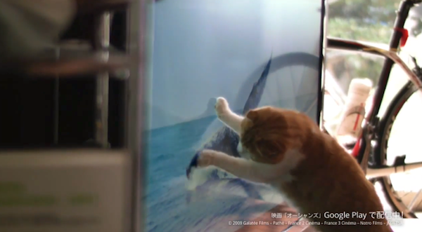 Chromecast猫