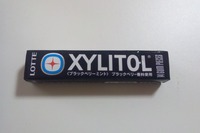160 XYLITOL ブラックベリーミント