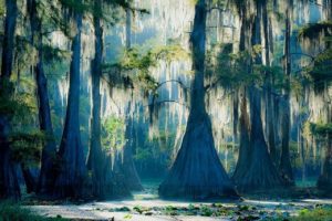 Caddo01_s-300x200