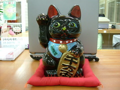 黒猫のたんちゃん