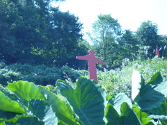 P1020248